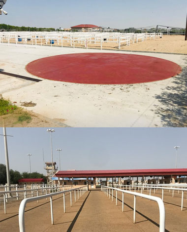 Al Maghaweer Stables